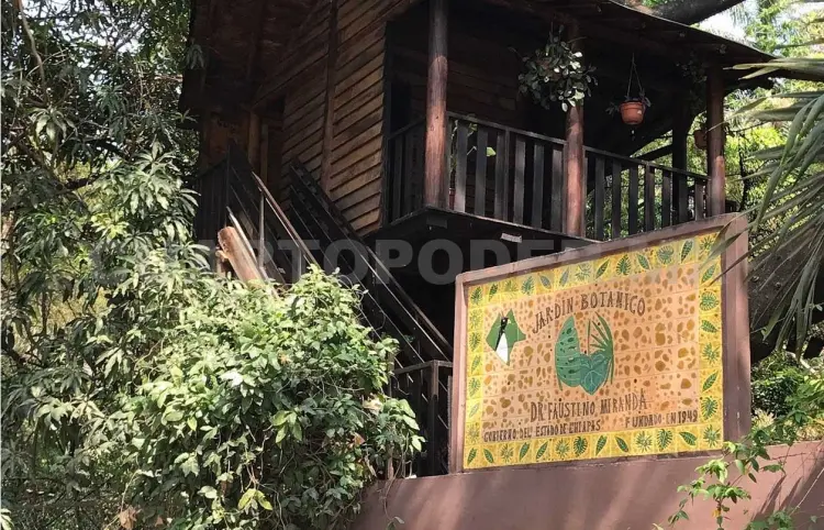 Avanza proyecto de restauración de Jardín Botánico