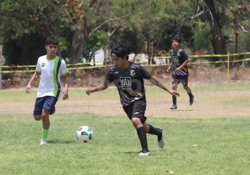 Pavones lanza visoría rumbo a la Liga TDP