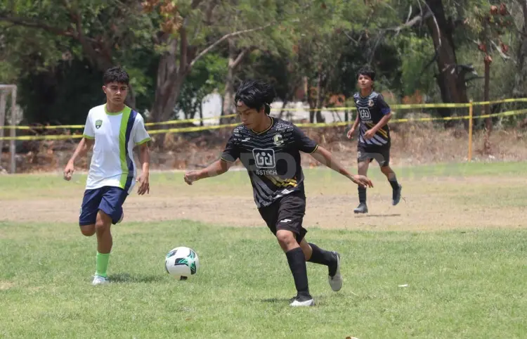 Pavones lanza visoría rumbo a la Liga TDP
