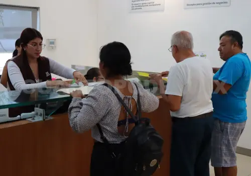 Contribuyentes deben orientarse para defenderse