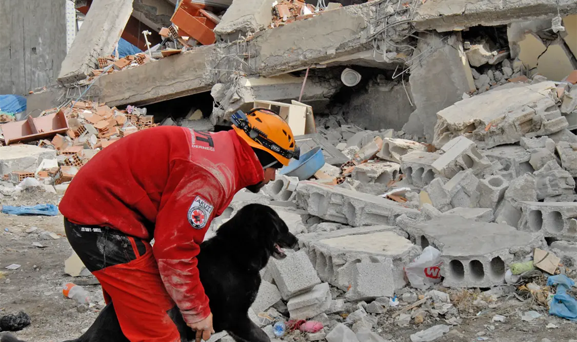 En la identificación de las zonas vulnerables los veterinarios pueden contribuir a reducir el impacto que un desastre puede tener sobre animales domésticos, de granja o silvestres. Cortesía