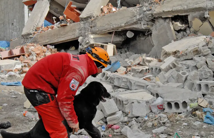 Veterinarios al rescate en desastres