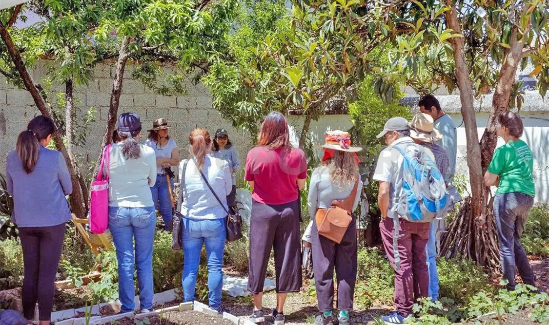 La idea es fomentar la creación de huertos en áreas urbanas. Manuel Martínez / CP