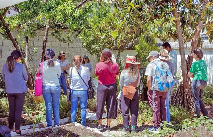 Realizan exitosa Feria de Huertos en San Cristóbal de Las Casas
