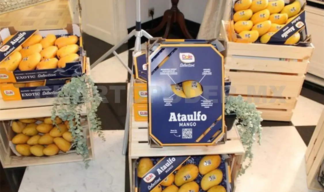 La fruta llegó a la Embajada de México en Bélgica. Cortesía