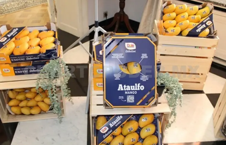 Mango Ataulfo conquista Europa