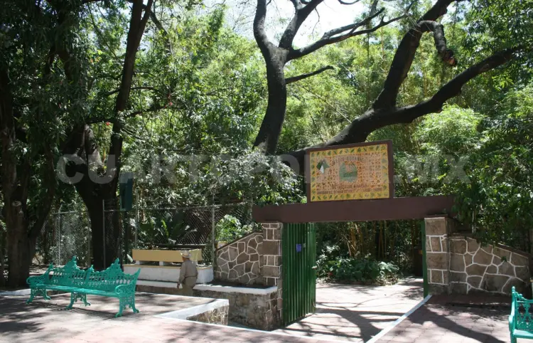 Jardín botánico contribuye a la investigación científica