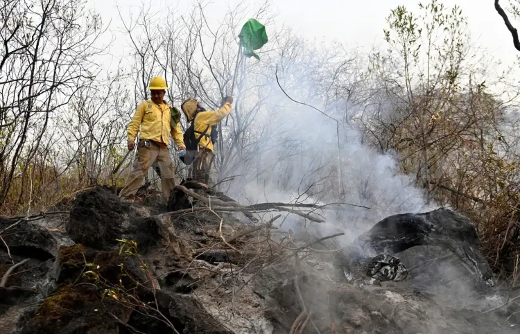 Se mantiene a la baja superficie afectada por incendios