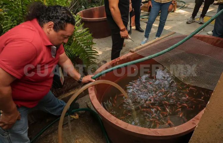 Piden no promover el manejo de especies exóticas