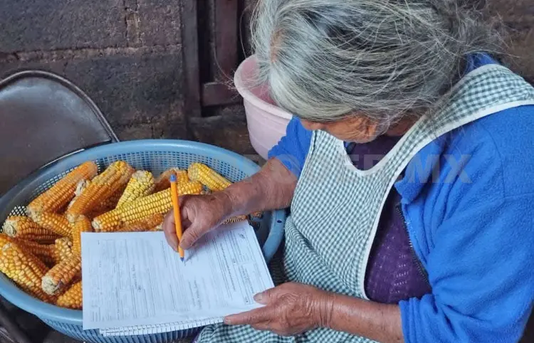 Más de 400 personas serán alfabetizadas
