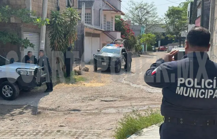 Solitario ladrón merodeaba y roba en casa