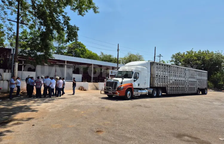 Refuerzan disposiciones para control sanitario