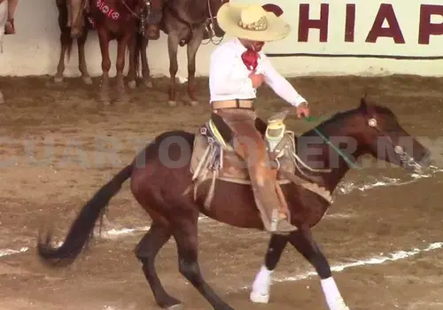 Rancho El Laurel lidera el LX Estatal