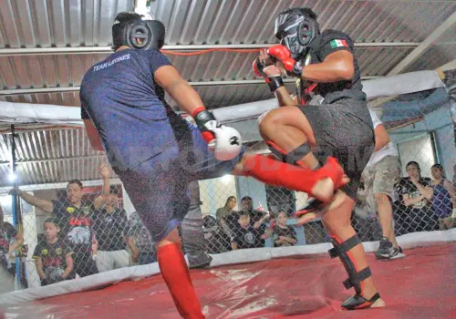 Última Dinastía de Guerreros reabre sus puertas