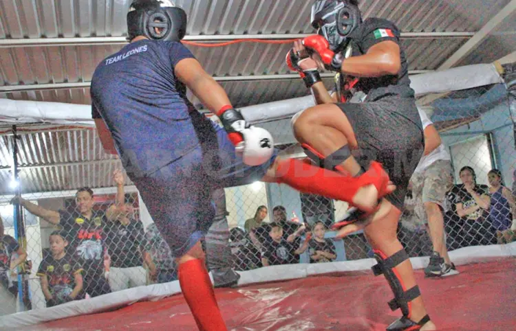 Última Dinastía de Guerreros reabre sus puertas