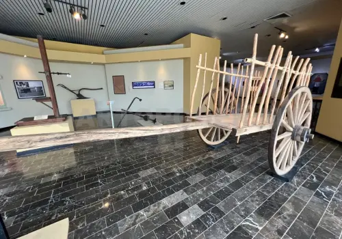 Sala de Arqueología reabrirá el 18 de mayo