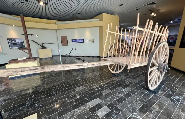 Sala de Arqueología reabrirá el 18 de mayo