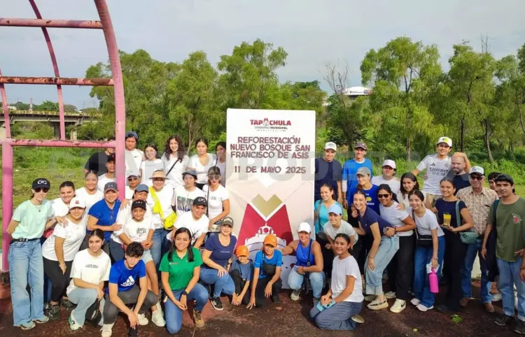 Ayuntamiento reforesta con éxito área urbana