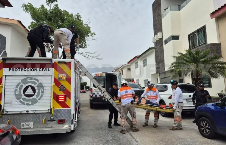 Cae desde lo alto de una escalera y acaba grave