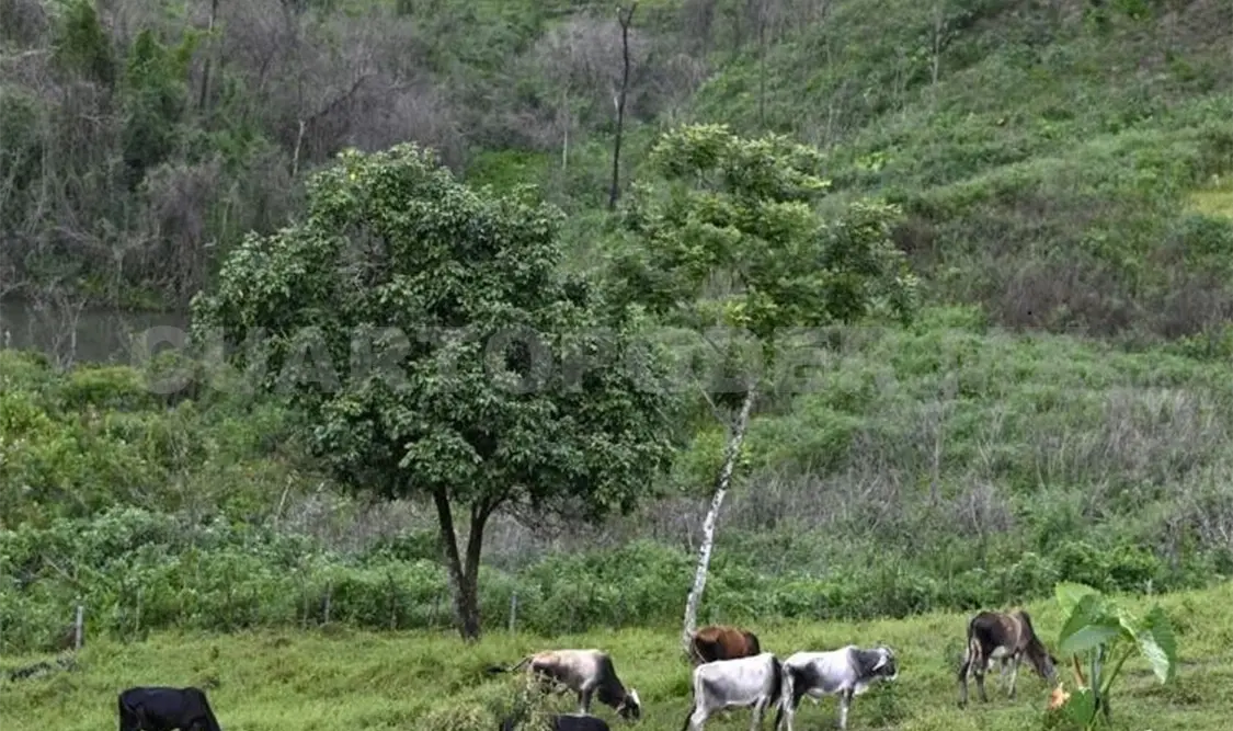 Frontera sur permanece sin cerco sanitario