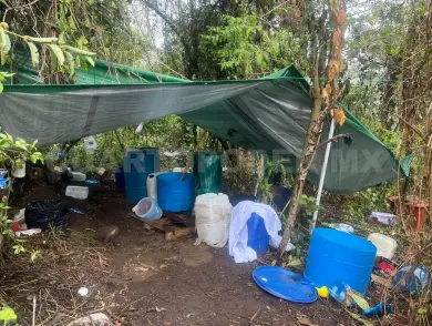 Aseguran laboratorio clandestino en El Pinar
