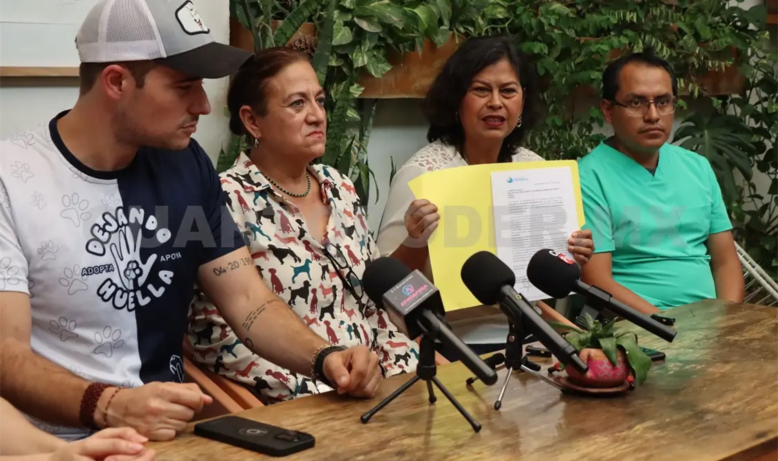 Piden que el Congreso exhorte a los municipios a diseñar políticas públicas como esterilizaciones gratuitas. Diego Pérez / CP
