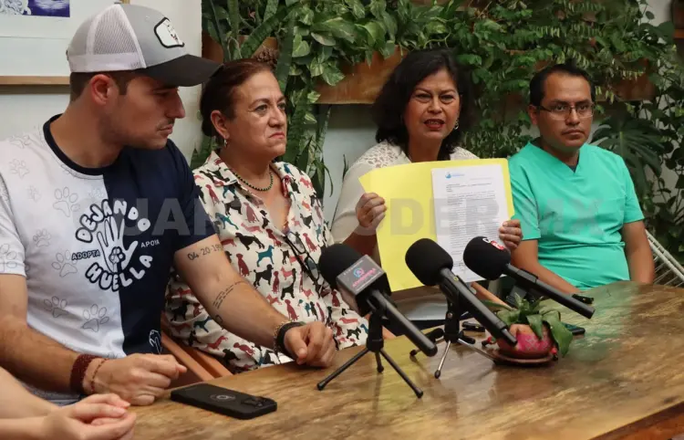 Urgen acciones para reducir maltrato animal