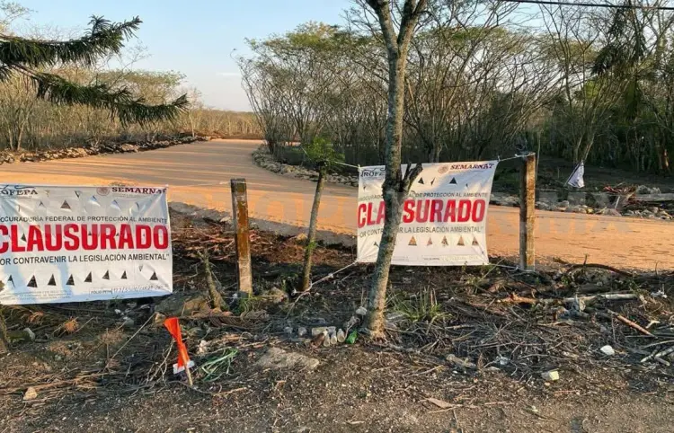 Clausuran predio por cambio ilegal de uso de suelo