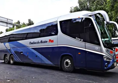 Usa cártel autobuses Ómnibus para traficar droga