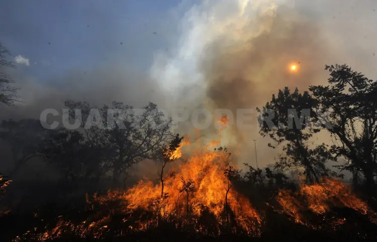 Sancionan a propietarios de predios por quemarlos