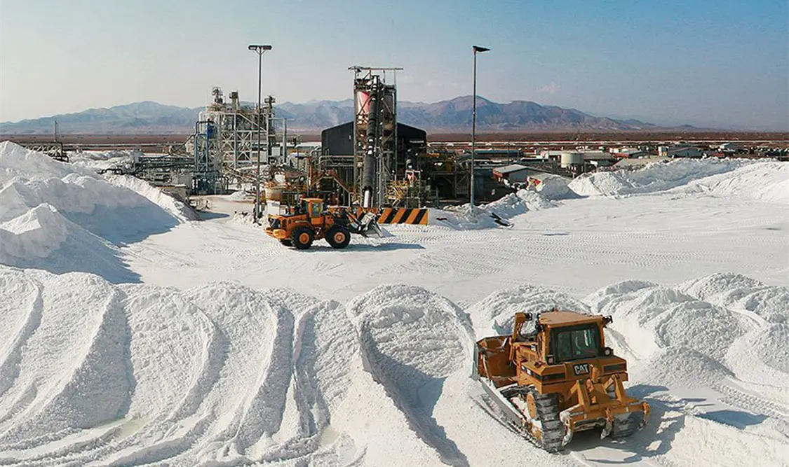 Diversas personalidades analizaron la necesidad de crear un organismo que regule las actividades relacionadas con la producción de litio. Cortesía