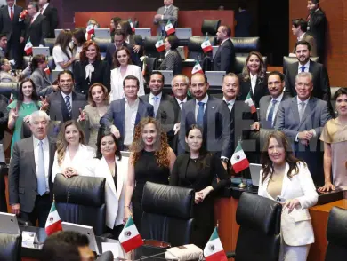 Analiza Cámara Alta crear seguro nacional de desempleo