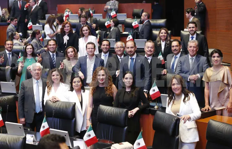 Analiza Cámara Alta crear seguro nacional de desempleo
