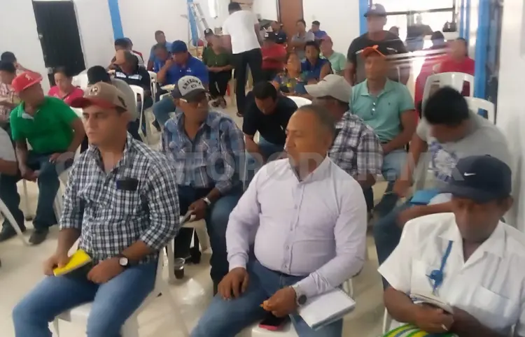 Zozobra por casos de gusano barrenador en la región costa