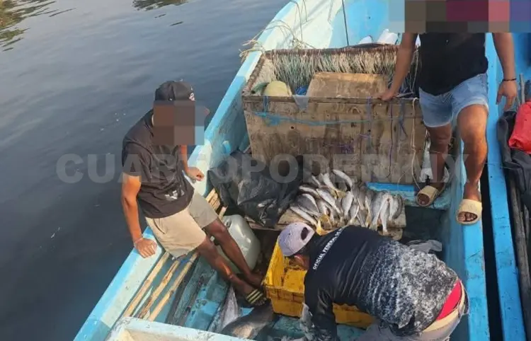 Pescaban tiburones y mantarrayas; fueron arrestados