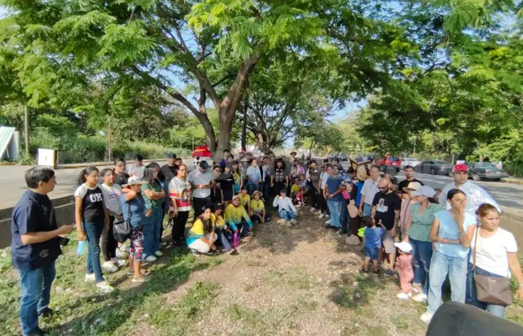 Familias se suman a proyecto polinizador