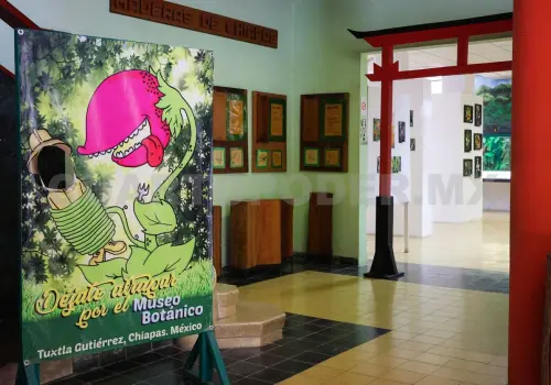 Llaman a impulsar inclusión en museos de Chiapas