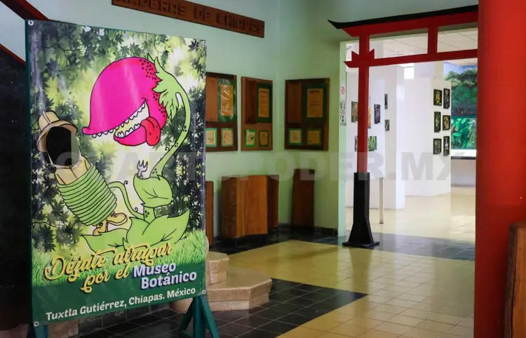 Llaman a impulsar inclusión en museos de Chiapas