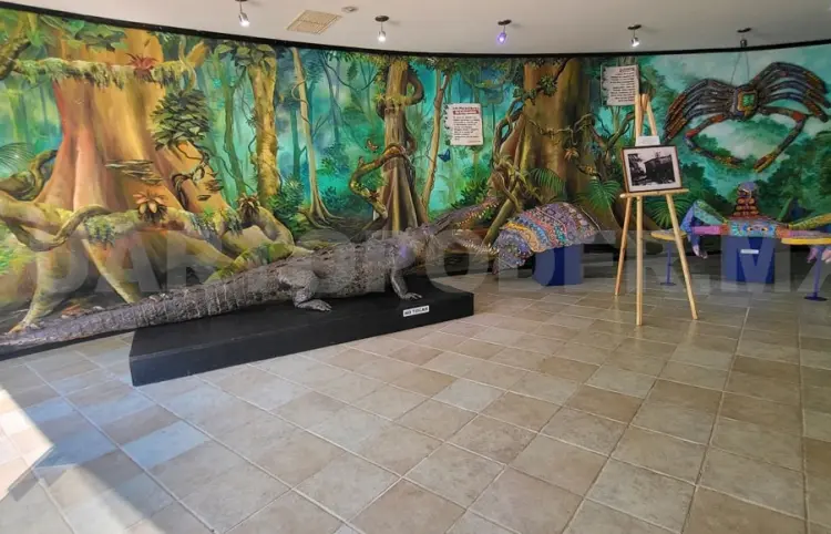 Museo Zoológico, 44 años de historia ambiental