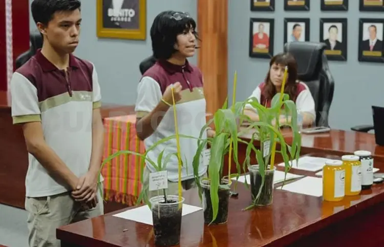 Representarán a Chiapas en certamen nacional