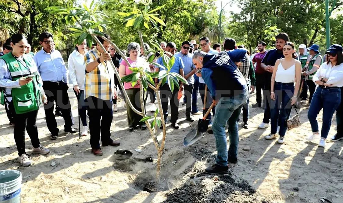 El objetivo es plantar árboles nativos en espacios públicos para mejorar el entorno y cuidar el ecosistema de la ciudad. Cortesía