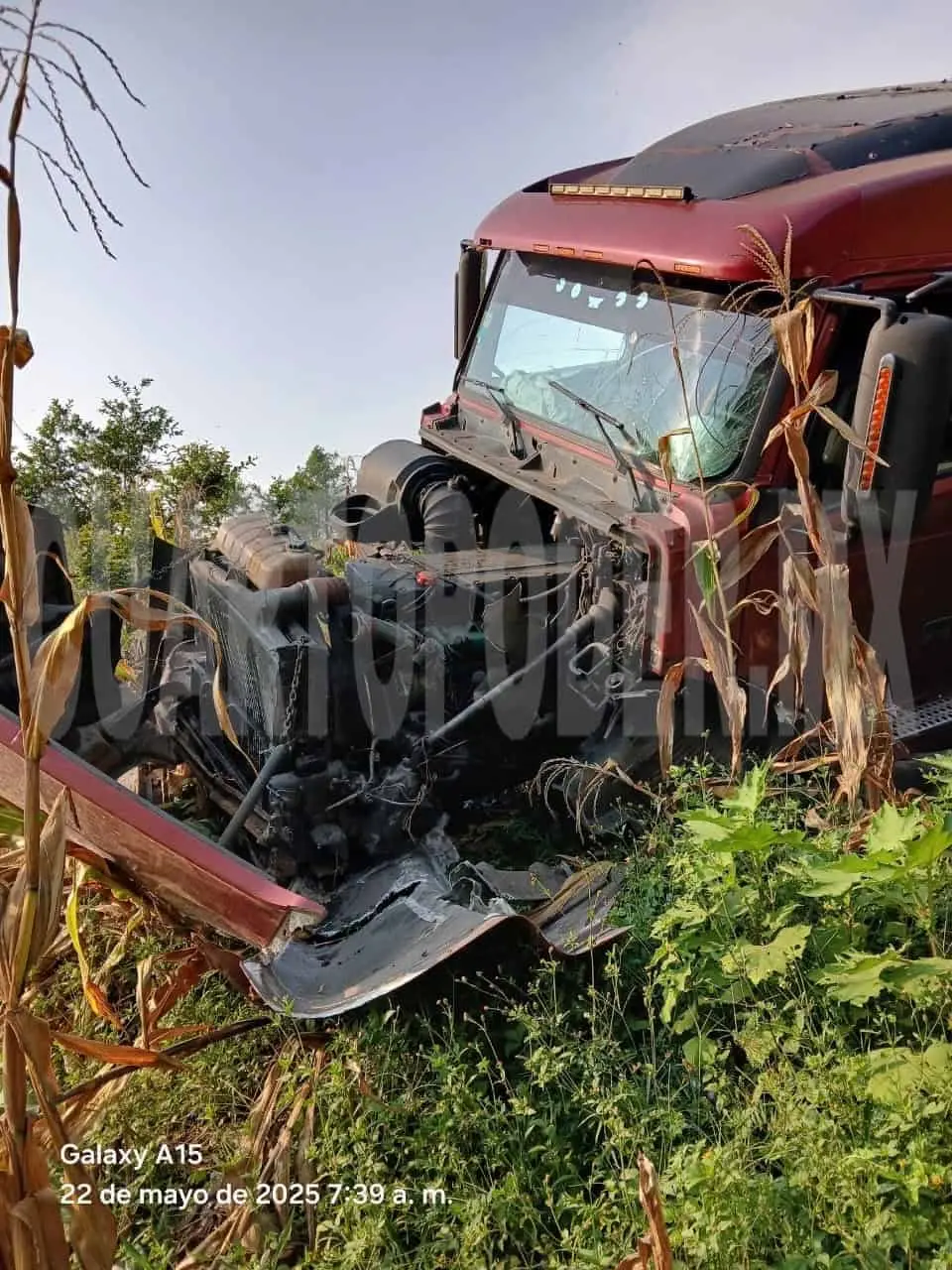 Tráiler se queda sin frenos e impacta a taxi