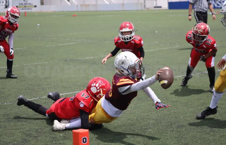 Anuncian kick-off para categoría Bantam