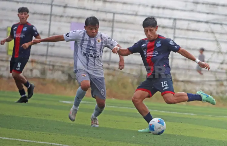 Vamos a ir con todo: Miguel Casanova