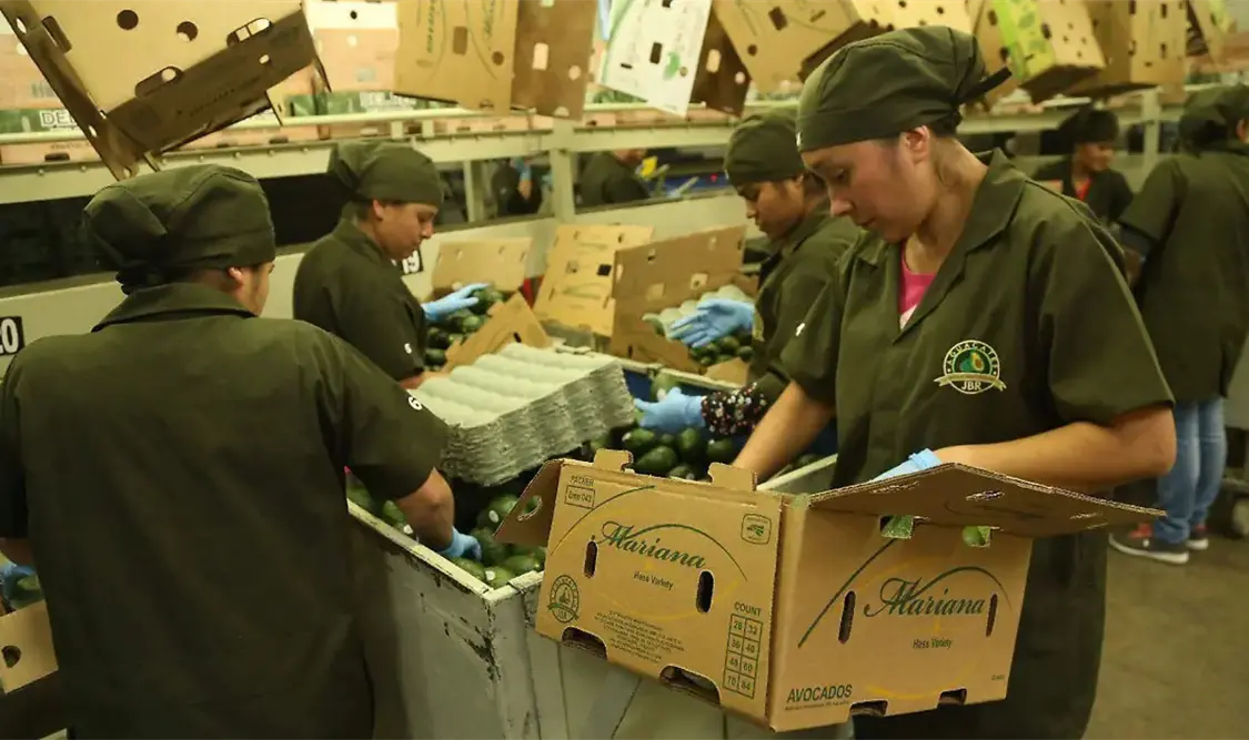 El valor de las exportaciones mexicanas volvió a crecer en abril. Cortesía