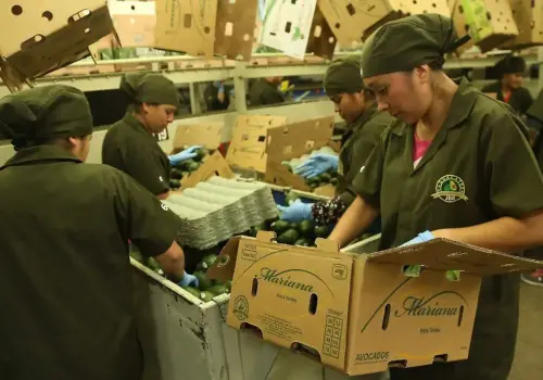 Vuelven a crecer las exportaciones mexicanas