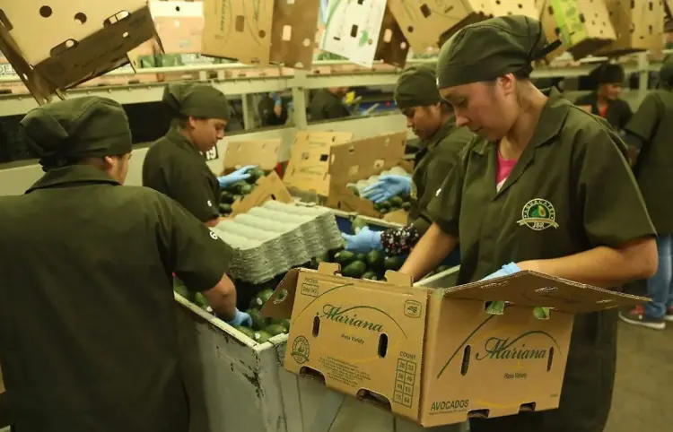 Vuelven a crecer las exportaciones mexicanas