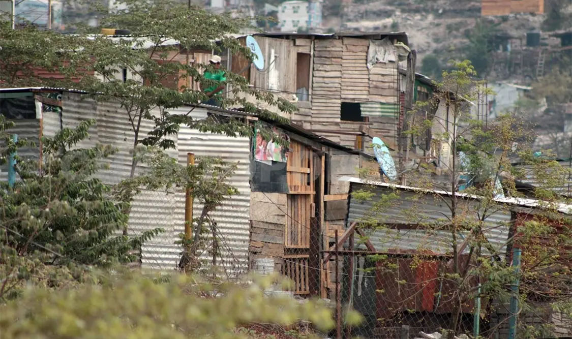 Se mantienen diversas invasiones en las ANP. Diego Pérez / CP