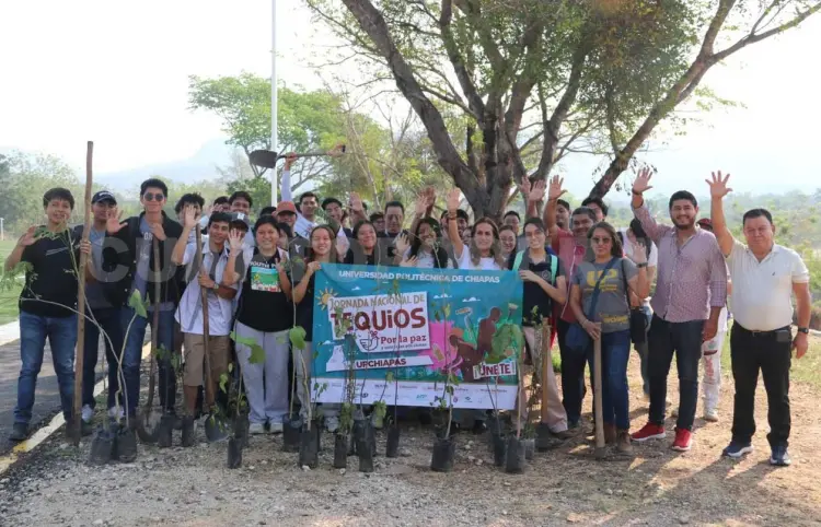 Participa UPN en Jornada Nacional de Tequios