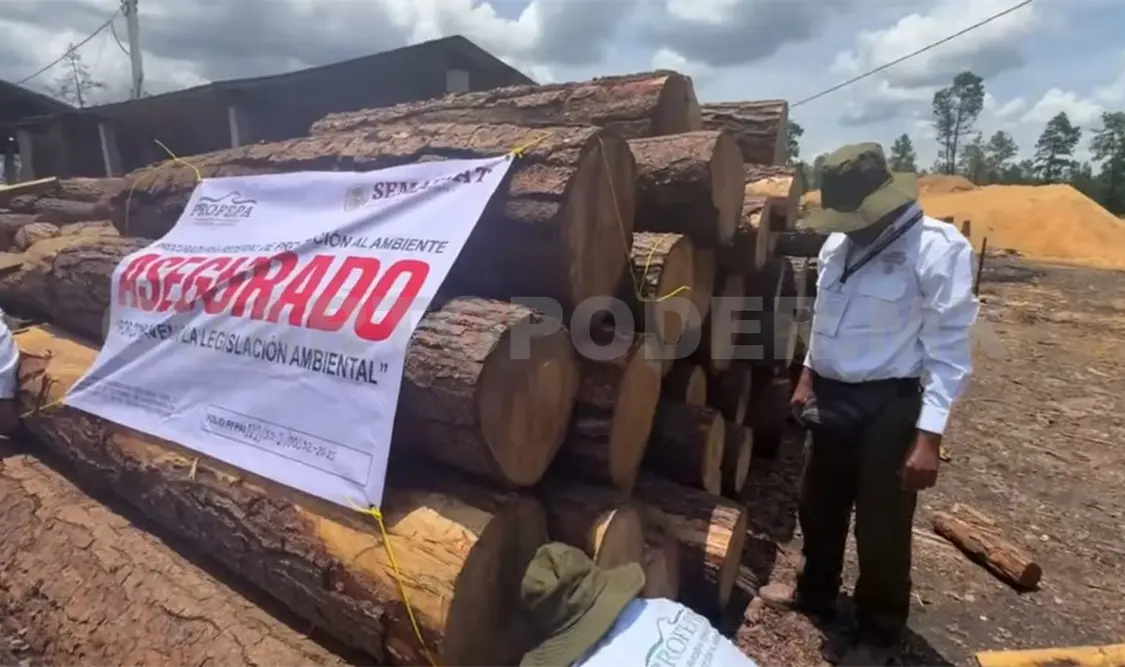 Este operativo interinstitucional logró el decomiso más grande de Chiapas. CP